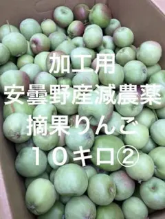 ✴︎加工用✴︎安曇野産✴︎減農薬✴︎摘果りんご10キロ②のサムネイル