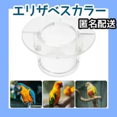 Item thumbnail for item 5b636300-98f7-4242-901a-0495b5baf48e