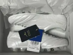 Item thumbnail for item 140d7883-49ea-42d6-926a-f8fdced3160f