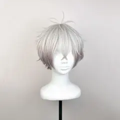 ✟スカリー ウィッグ✟セット済 ツイステ - メルカリ
