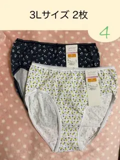 婦人ショーツ　3Lサイズ④ 2枚