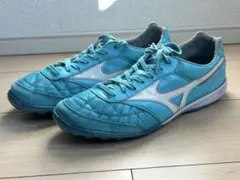 Item thumbnail for item 58e17121-5d7b-4086-bd93-3b44b2c7364c