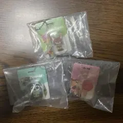 ズートピア　ブリスターチャームコレクション3つセット