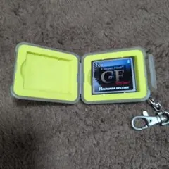 HAGIWARA SYS-COM 1GB CompactFlash