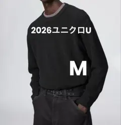 ユニクロU クルーネックセーター 長袖 ブラック M メンズ