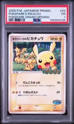 PSA8】ポケモンカード旧裏 マチスのライチュウ ジム拡張第2弾闇からの