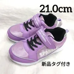 Item thumbnail for item 1377021f-6cf3-4841-b19e-64f2edd913f4