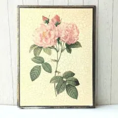 アンティーク調 ローズ 額装 壁掛け インテリア 絵画 薔薇 ボタニカルアート