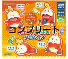 ポケモン ホゲータいっぱコレクション