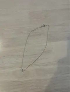 シルバーネックレスチャーム付き