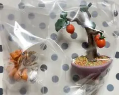 リーメント　ポケモン　ぽけっとBONSAI 3　ロコン　フィギュア