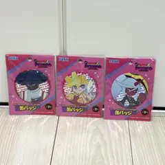 2026年最新】パンティ&ストッキング 缶バッジの人気アイテム - メルカリ