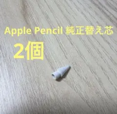 Apple pencil 純正 動作確認済みペン 先替え芯 2個のサムネイル