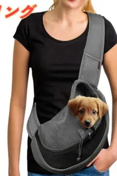 Item thumbnail for item 1093623c-62a4-48a8-b912-4e32fc28a637