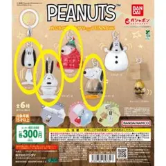 PEANUTS めじるしアクセサリー FUNNYver. 4種