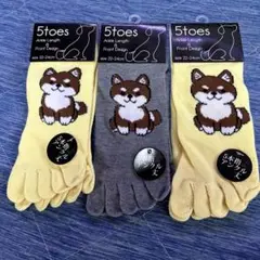 Item thumbnail for item 9ccd717e-0a40-472b-8506-dc18c03c149a