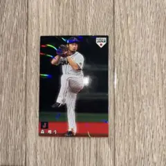 Item thumbnail for item 4a9432ac-13b2-4b17-a97c-d1eed6567d98