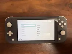 Nintendo Switch Liteグレー 本体 ケース 動作確認済み