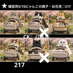 確認用3/15にゃんこ♡パネル　ハンドメイド