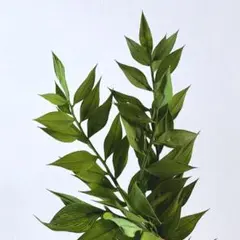 ちゃめ✖️2様 リクエスト 4点 まとめ商品