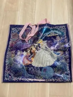 東京ディズニーランド シンデレラ ショッピングバッグ