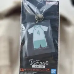 ハイキュー!! 一番くじ　F賞 スクールアイコンボタン付きアクリルチャーム