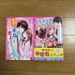 【即発送】美品 野いちごジュニア文庫 他 49冊セット 女子小中学生のためのドキドキ&胸キュンレーベル『野いちご