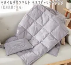 Item thumbnail for item 9ba7c662-72d2-48c3-9f49-4504cd9fc925