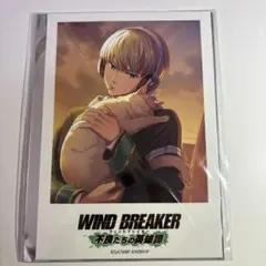 2026年最新】ウィンヒロ 梶蓮の人気アイテム - メルカリ