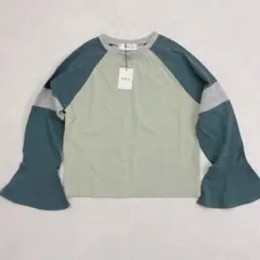 Item thumbnail for item 2ff5fcae-349a-4a54-9647-8fe8ac4507b8