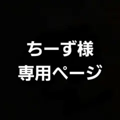ちーず様専用ページ