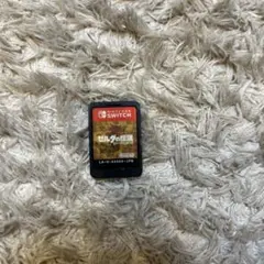 ゼルダの伝説 ブレス オブ ザ ワイルド Switch カセットのみ 動作良好
