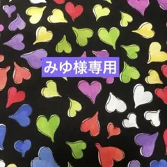 みゆ様 リクエスト 2点 まとめ商品