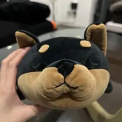 Item thumbnail for item 80693b10-02ab-4ed9-b860-27d78a6949aa