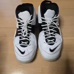 Nike ズームフライト95 28cm　最終価格です