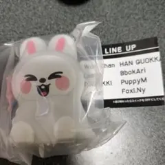 SKZOO ライトマスコット リービット リノ straykids Leebit