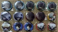 家庭教師ヒットマンREBORN！缶バッジ 15個セット