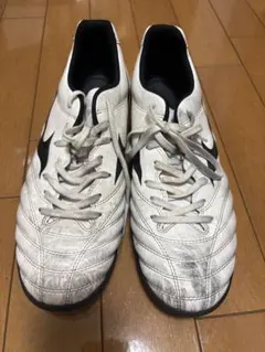 モナルシーダネオ　27.0