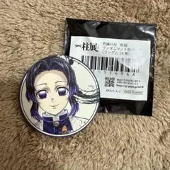 2025年最新】柱展 缶バッジ しのぶの人気アイテム - メルカリ