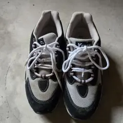 Item thumbnail for item cf5d8d4d-dfd5-4f04-8a68-2e6fbff98a23