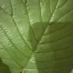 R様専用