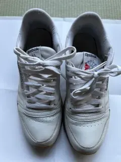 Item thumbnail for item 1f335171-2a85-4c37-9313-25b471a34762