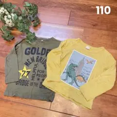 【まとめ売り】ロンT 110 恐竜