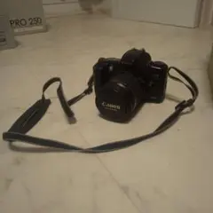 ✨お買い得価格✨シャッター数1983回✨Canon Kiss X3 レンズセット