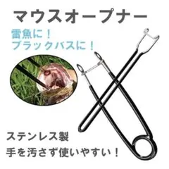 Item thumbnail for item 27f65845-3843-4d5a-9686-95ef7159a720