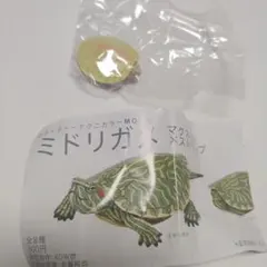2025年最新】ネイチャー ミドリガメの人気アイテム - メルカリ