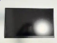 24インチモニター ディスプレイ グリーンハウス