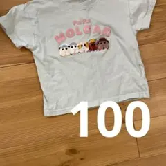 【100】モルカー　シャツ　半袖