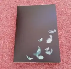 乃木坂46 いつのまにかここにいる