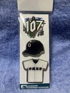 Item thumbnail for item 43580eb8-9df7-442e-a81f-a3a26db5f947